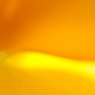 花芯の詩