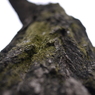 昇