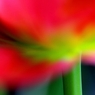 春　色が豊かだ・・・