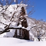 厳冬五箇山　暖かな雪景色♪