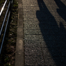 IMGP0125-6