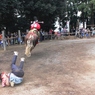 毛呂山町の流鏑馬