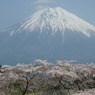 田貫湖の富士山