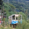 観光客多い、すぐ帰れんのに・・・