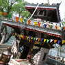 IMGP0205