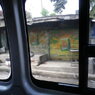 IMGP0250