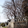 神社の前の道