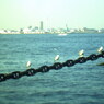 横浜
