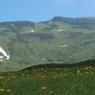 鳥海山千畳ヶ原２