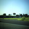 昭和記念公園