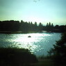 昭和記念公園