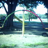 昭和記念公園