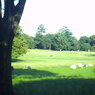 昭和記念公園