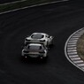 nose to tail