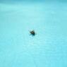 Fly Staring At Me