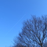 冬空