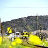 いすみ鉄道05