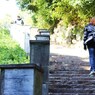和歌山城への石段