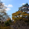 和歌山城