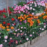 R0013346
