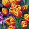 R0013348