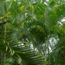 R0013356