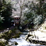 箕面の滝①