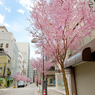 日本橋室町