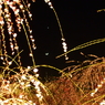 P3260127