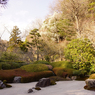 明月院の庭園