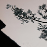 japanese spirit #14