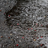 雨音