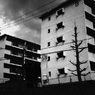 Digital HarinezumiⅡ:10