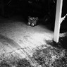 Digital HarinezumiⅡ:11