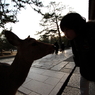 Heart To Heart