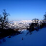 blue shade