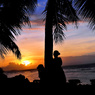 sunset with palm tree