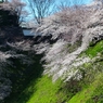 勢