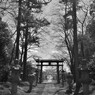 鳥居