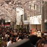 目黒川桜５