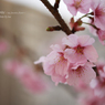 lovefavorite_408