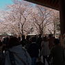 靖国神社Ⅰ