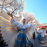 桜と白鷺の舞