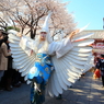 桜と白鷺の舞２