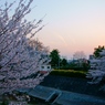 夕春