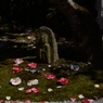 石仏と落花