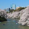 千鳥ヶ淵