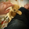 小さいけど、クマだけど、ぬいぐるみだけど、大事な家族