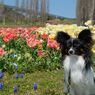 photo_1745907
