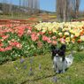 photo_1745908